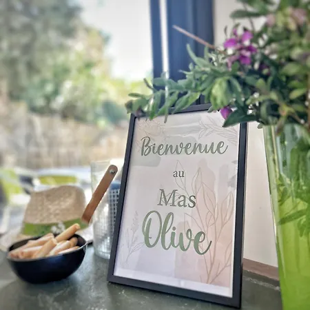 Le Mas Olive, Confortable Avec Piscine *
