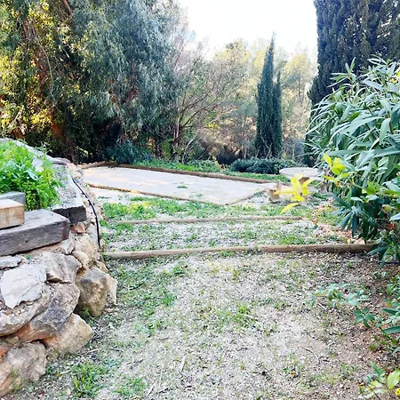 Le Mas Olive, Confortable Avec Piscine Ollioules